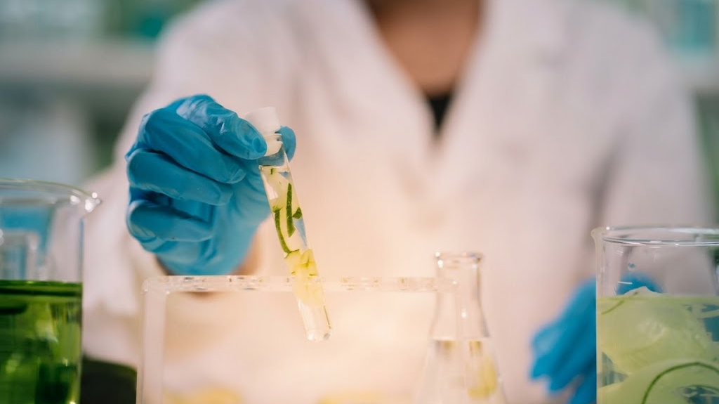 Premium Skincare Wholesale: How the High-End Market is Evolving in 2026
