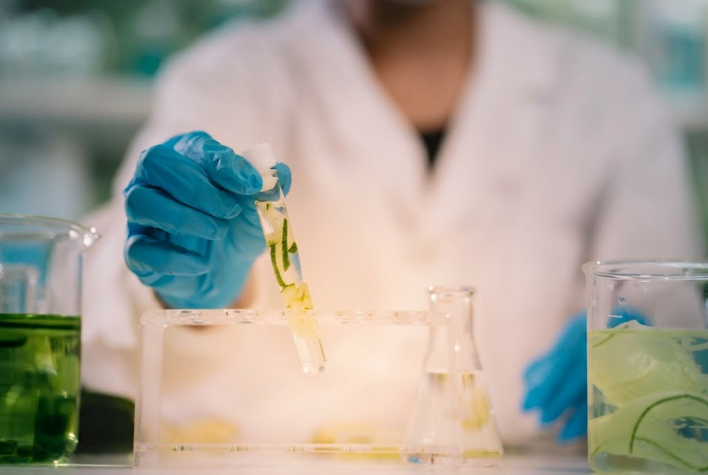 Premium Skincare Wholesale: How the High-End Market is Evolving in 2026